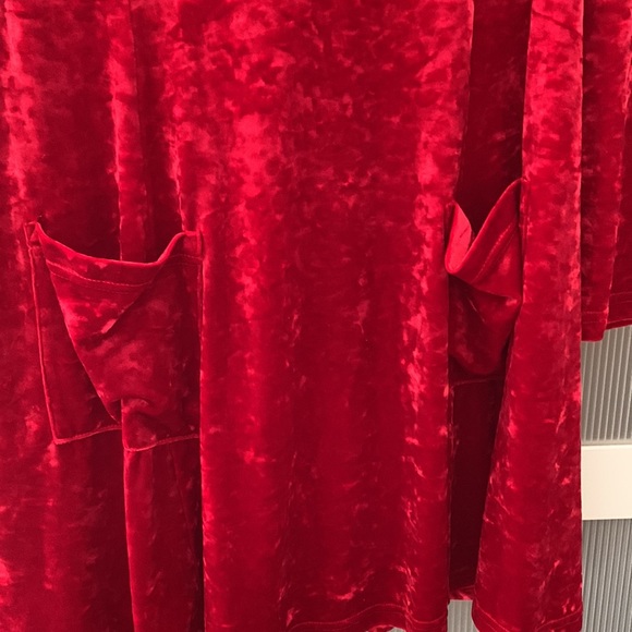 Red Velvet Dress - Picture 6 of 6